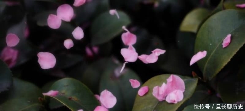 那一份深厚|王维最唯美的一首诗,通篇短短的四句,却是美得犹如一幅山水画卷