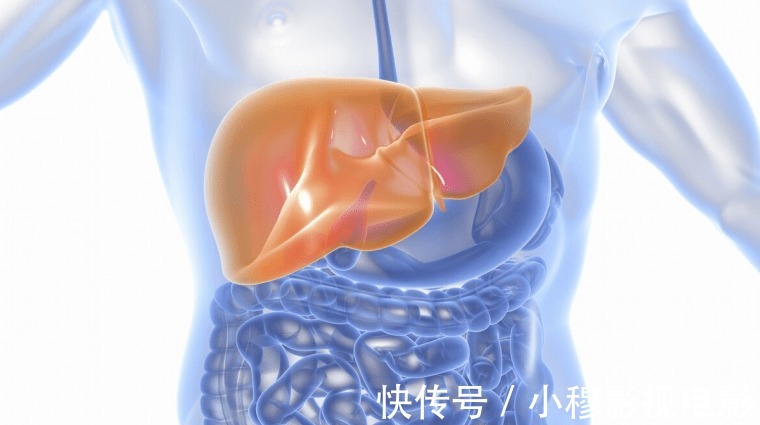 肝脏|医生提醒:3种“家常菜”,或比酒还伤肝,为了健康,尽早远离