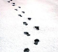 小心!警惕!“中国拥有世界上唯一完整工业体系”的谎言