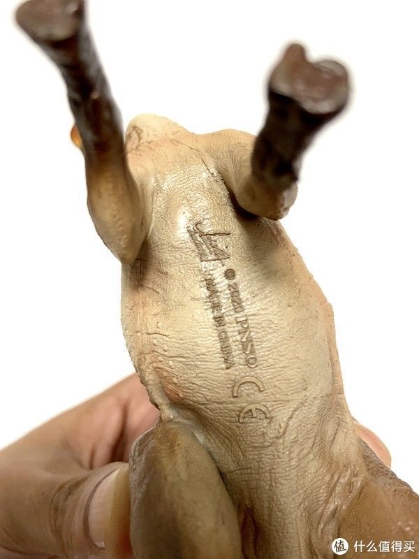 赵闯|恐龙模型 篇一:除了没有可动,其他基本完美——PNSO副栉龙把玩分享