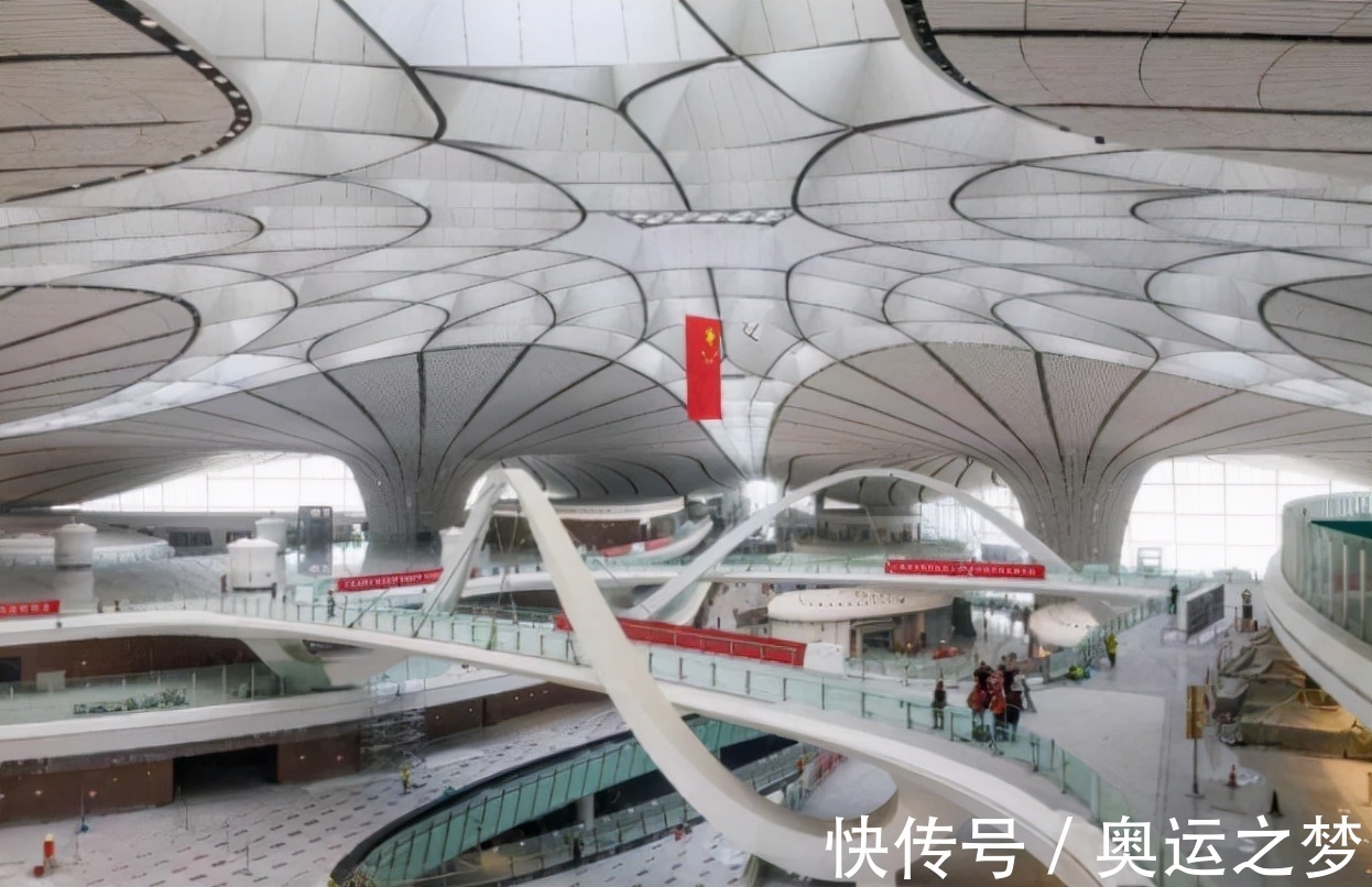浩二|日本小伙瞧不起中国乒乓球，看到中国大妈球技后，瞬间哑口无言