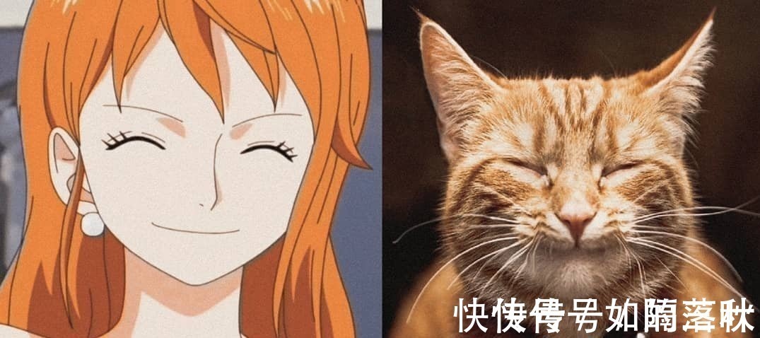 橘猫|海贼王当娜美和橘喵神同步,你更喜欢谁小贼猫才是众人所爱