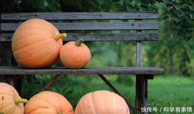 ÄϹϱð×ÜÕô×ųԣ¬ÊÔÊÔÕ⼸ÖÖÄϹϺóÔÓÖ¼òµ¥µÄ×ö·¨£¬ºÃ³Ô²»ÅÂÅÖ