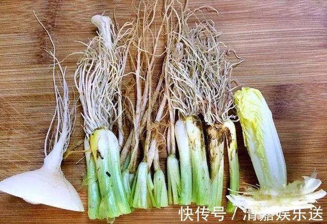 漂亮|厨房吃不完的5种菜,种“花盆里”,变盆景开花美,能吃好几茬