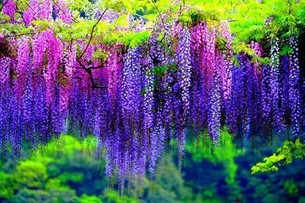 青衫@杨鑫诗词23首一抹斜阳对酒卮,忍将客路负佳时