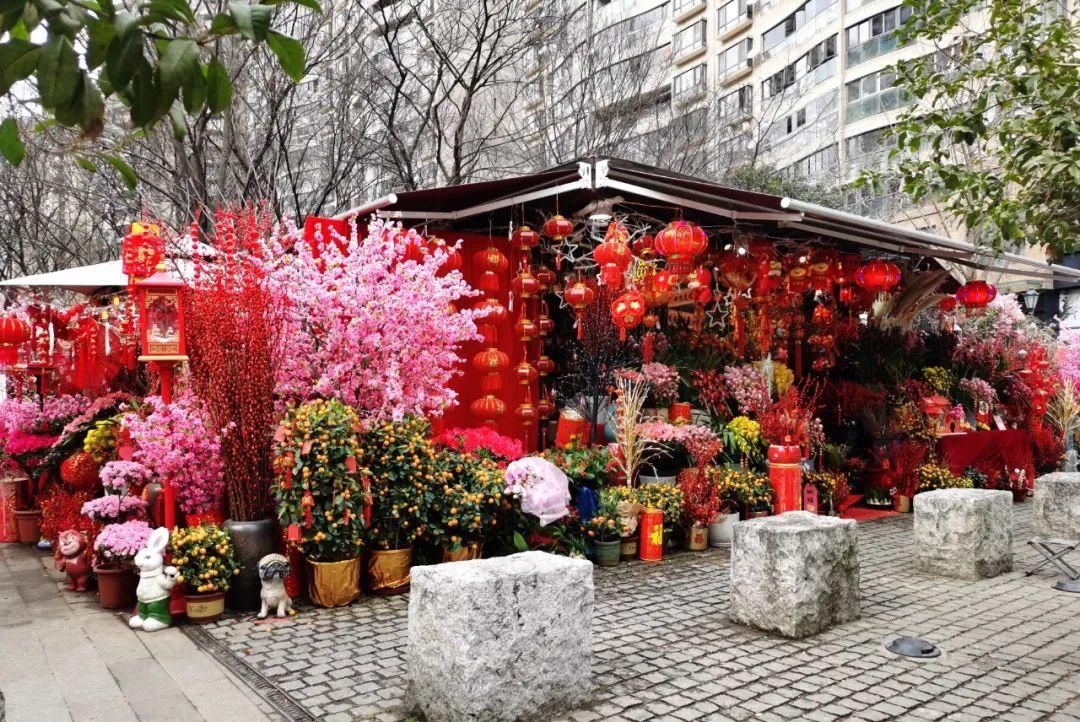 花市散发浓浓年味，这家店天天上新“应景”花！