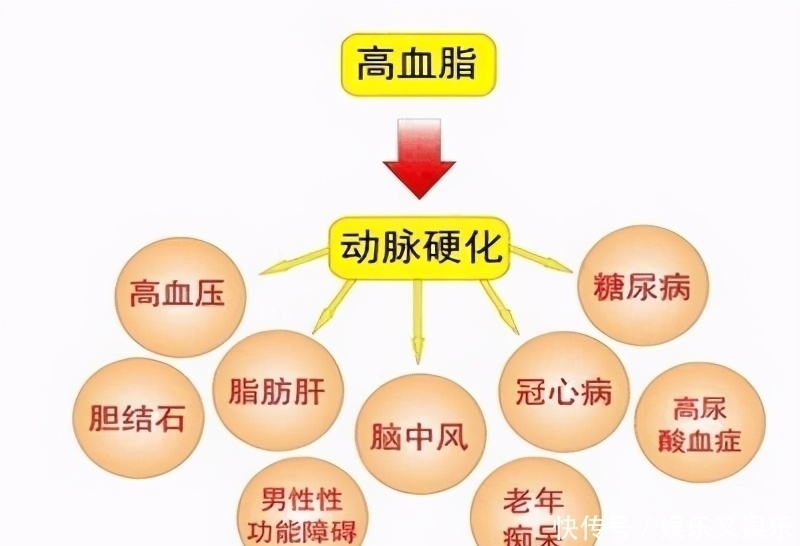 非游离脂肪酸|血脂高有什么症状，以及降血脂的“六字真言”是什么？