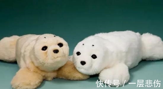 机器狗|万物皆可AI，狗狗也不例外