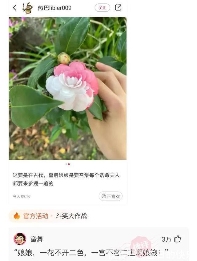 |搞笑神评:当初让你好好上学,你偏说放牛好