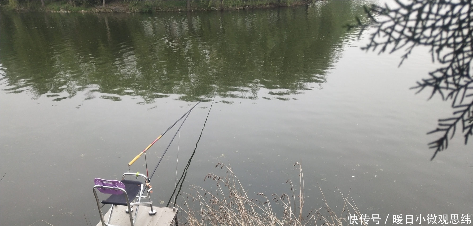 草鱼|注意8个细节,用好玉米粒钓浮,堪称草鱼、翘嘴的克星!