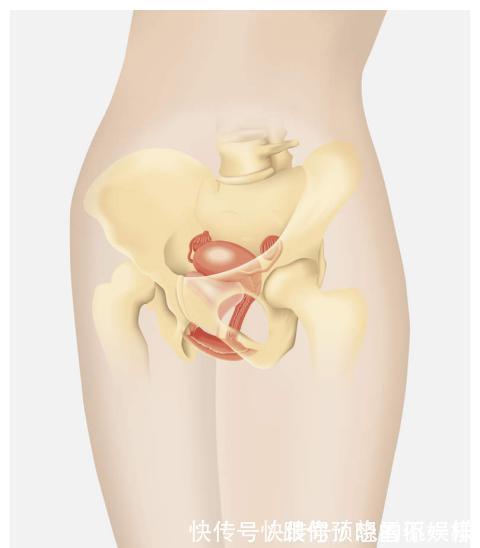 胚胎|刚怀孕就见红怎么办?这些孕早期注意事项要记牢!