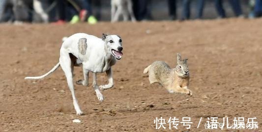 玩鸟&俗话说“钓鱼穷三年,玩鸟毁一生”,它下句才是精华,却鲜为人知