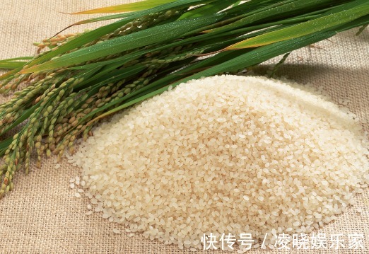 发霉|大米容易受潮爱生虫教你4个保存大米小妙招，存放时间长不生虫