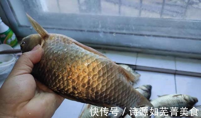 被吹上天的四种爆护神饵二，我已经帮大家试过了，只有一种效果好！