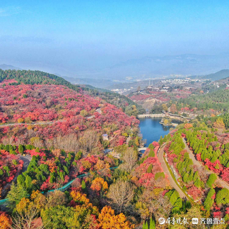 齐鲁壹点|层林尽染满山秋！壹点情报员带你俯瞰济南红叶谷，赏金秋醉美时刻