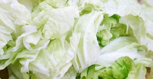  白菜|饺子馆不外传的白菜猪肉馅做法，不腥，不腻，鲜嫩多汁真好吃