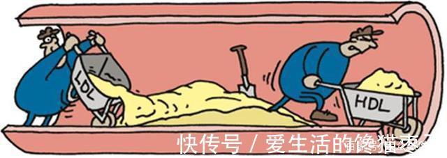 低密度脂蛋白|体检发现甘油三酯偏高,其他正常,说明1个问题,要注意