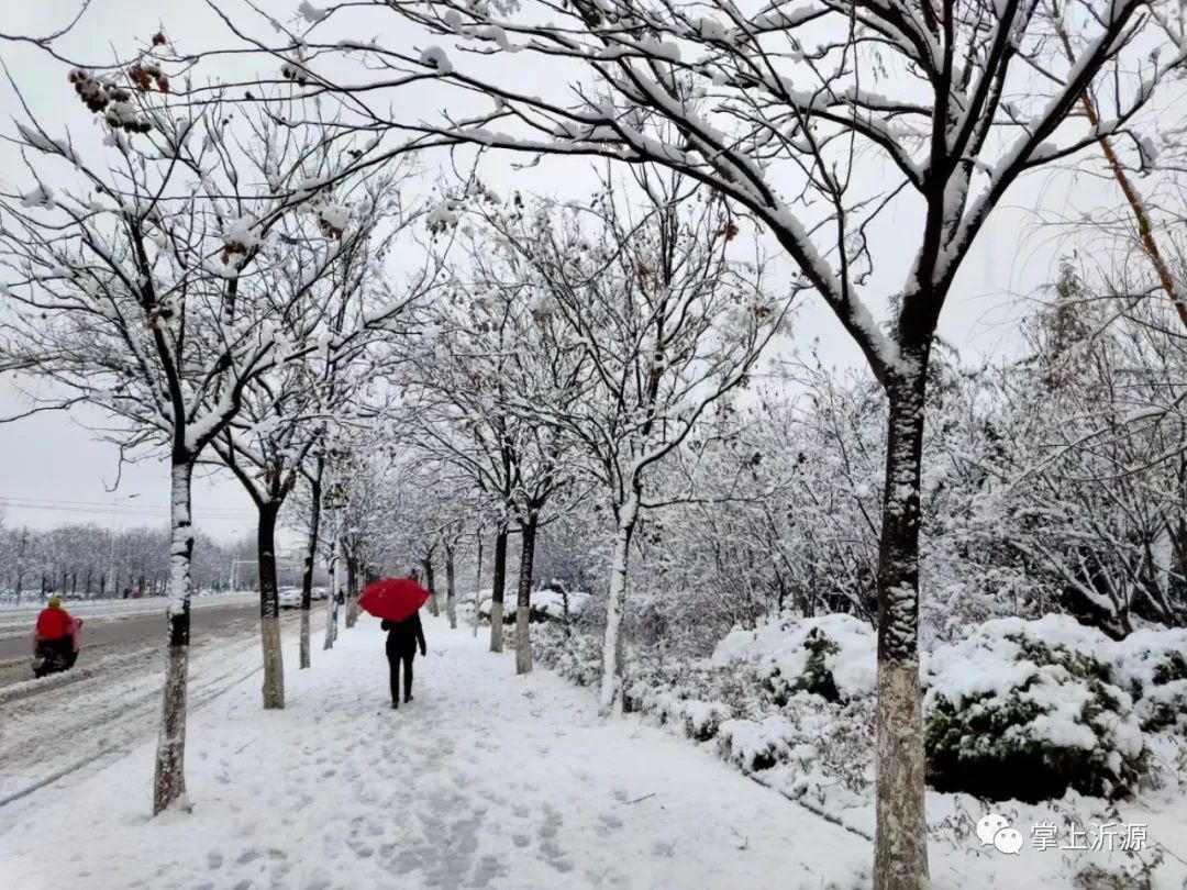 初雪来袭：你在朋友圈晒雪景，我在雪中守护你