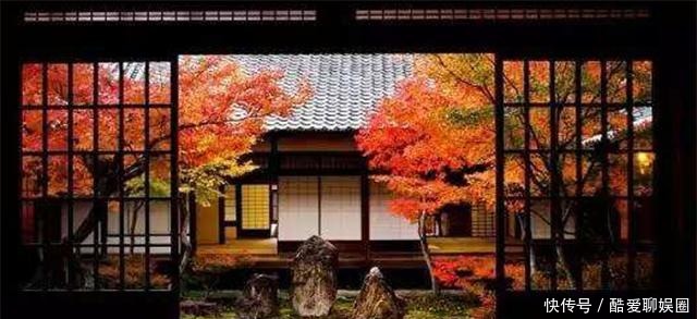 江户|从日本江户时代特色文化来谈谈落语的衰落