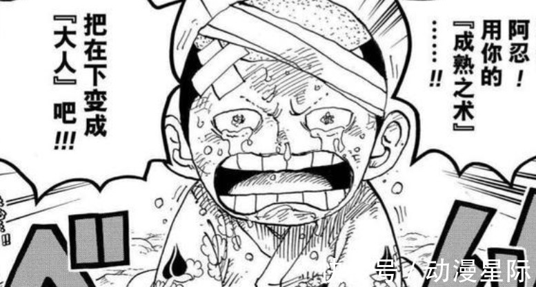 海贼王|海贼王1024话：日和带来天羽羽斩，桃之助将会上演“大辰撼”