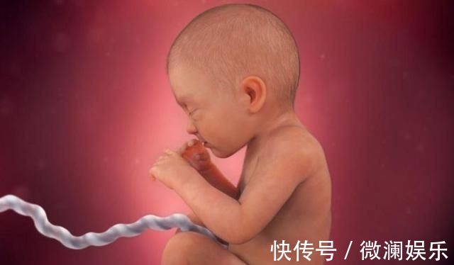 孕妈|组图了解胎儿在子宫中的生长过程，生命太奇妙了！准爸妈们看看