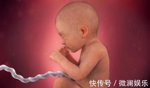孕妈|组图了解胎儿在子宫中的生长过程,生命太奇妙了!准爸妈们看看
