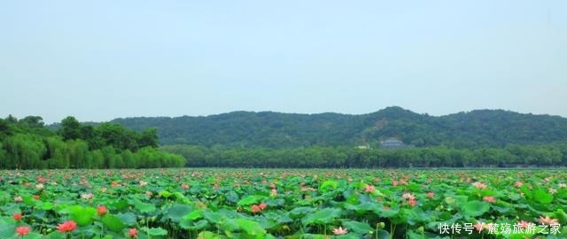 杭州西湖|我国“最有良心”的风景区，坚持17年不收取门票，游客纷纷点赞