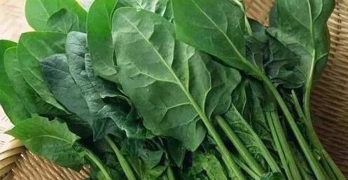 补充维生素|高血糖最怕4种营养素,适当补充,保护血管,血糖更稳定