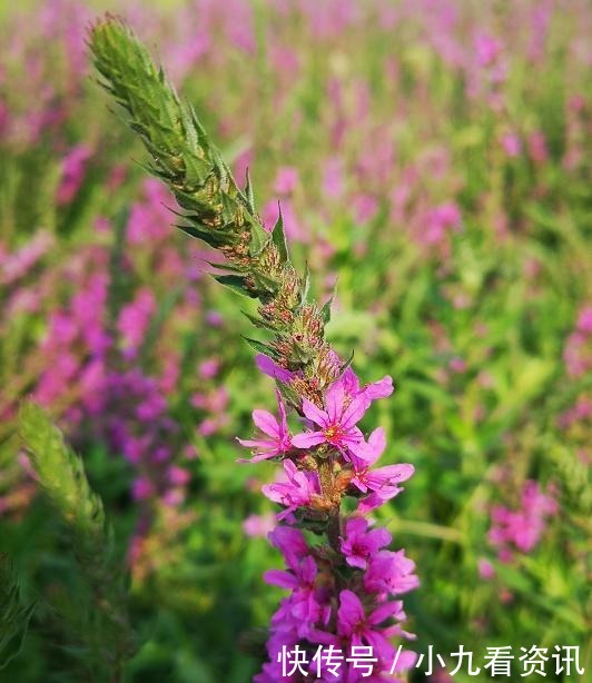 别人|晚间悦读|沉得住气,是一个人最了不起的才华