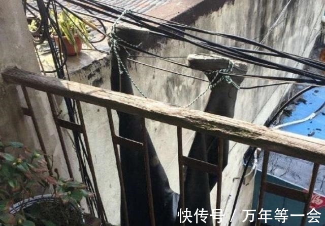 |搞笑段子:广场舞大妈为了不让男生打篮球,用了这招