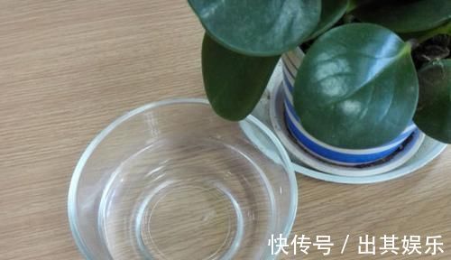 黄瓜|甲状腺结节不用治只要平时多吃“4绿2白”，结节或会自动消失