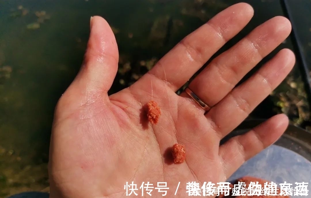 饵料中拉丝粉太多的利与弊，解决办法其实很简单，只要不嫌麻烦