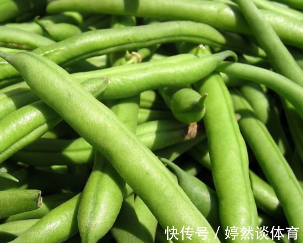 高脂膜|在收获优质豆类时需要注意四点,四季豆健脾化湿,营养又美味