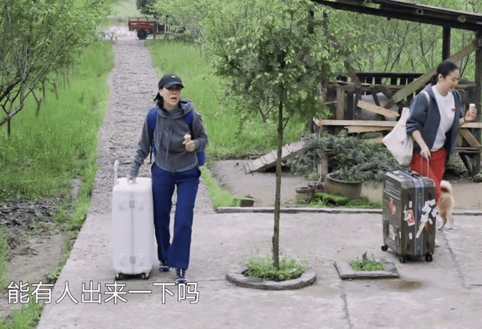 箱子|那英成《向往》最爱摆谱嘉宾,一到就怪罪人,黄磊何炅都招架不住