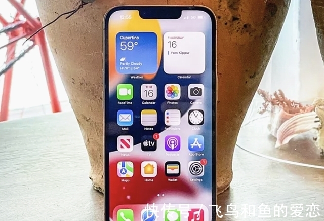 iPhone13Pro的问题开始出现，品控让某大V无法忍受，直接选择退货