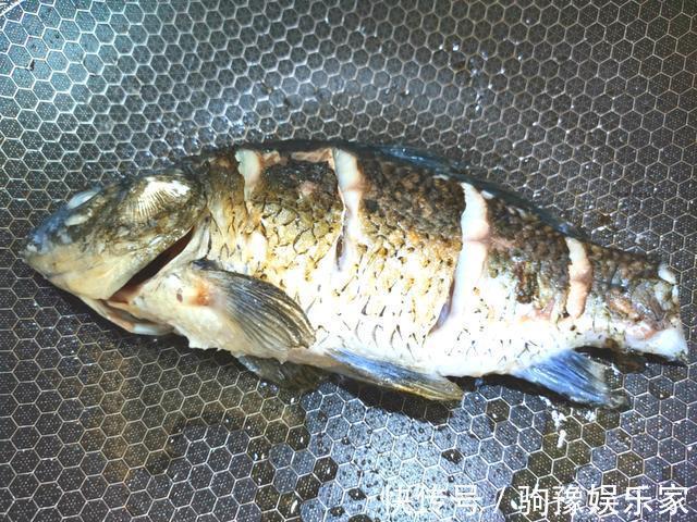 鱼身|鲫鱼汤怎么才能炖出牛奶白？原来下锅时间有讲究，做对了汤白味浓