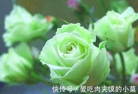 妻子|踏实稳重，对妻子非常好的4大生肖男，嫁给他们生活幸福又美满