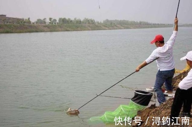 调钓|户外调钓,不是越灵越好!掌握这里面的一些诀窍,鱼儿好钓的不得了