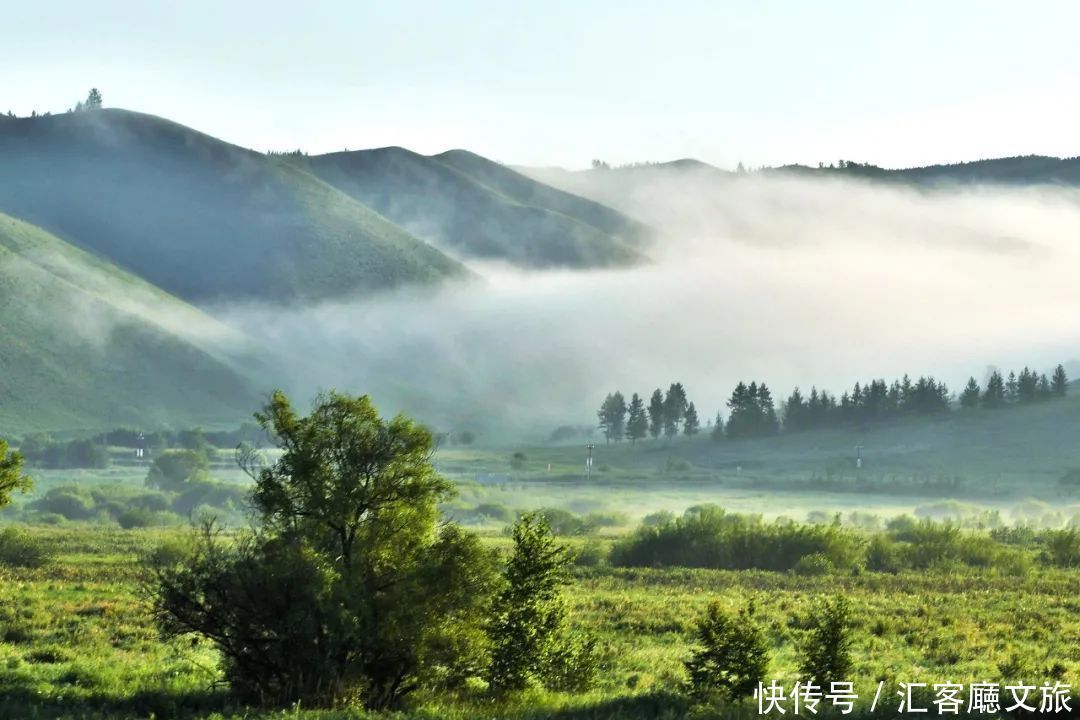 樟子松|这个夏天，我劝你一定要去一次内蒙古 ！