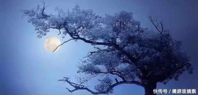 青玉案&50句美到极致的古诗词,每一句都饱含深情,总有一句击中你的内心