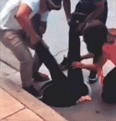 |搞笑GIF趣图:别以为鸡好欺负?真发起威来比狗还厉害