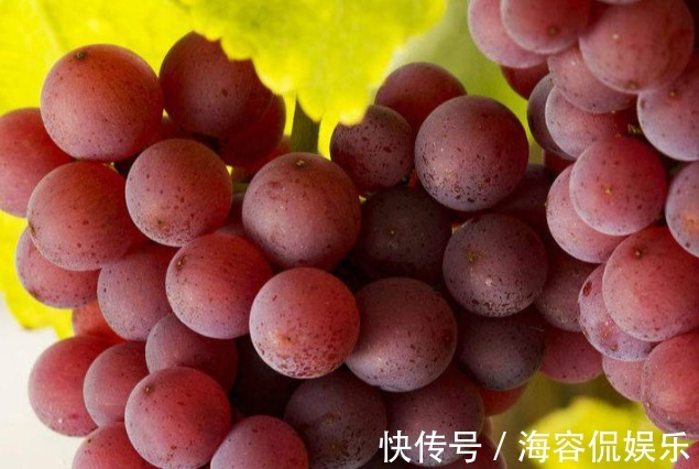 葡萄|爱吃葡萄的人,长寿不会远离你,但吃葡萄有1大禁忌,要了解下