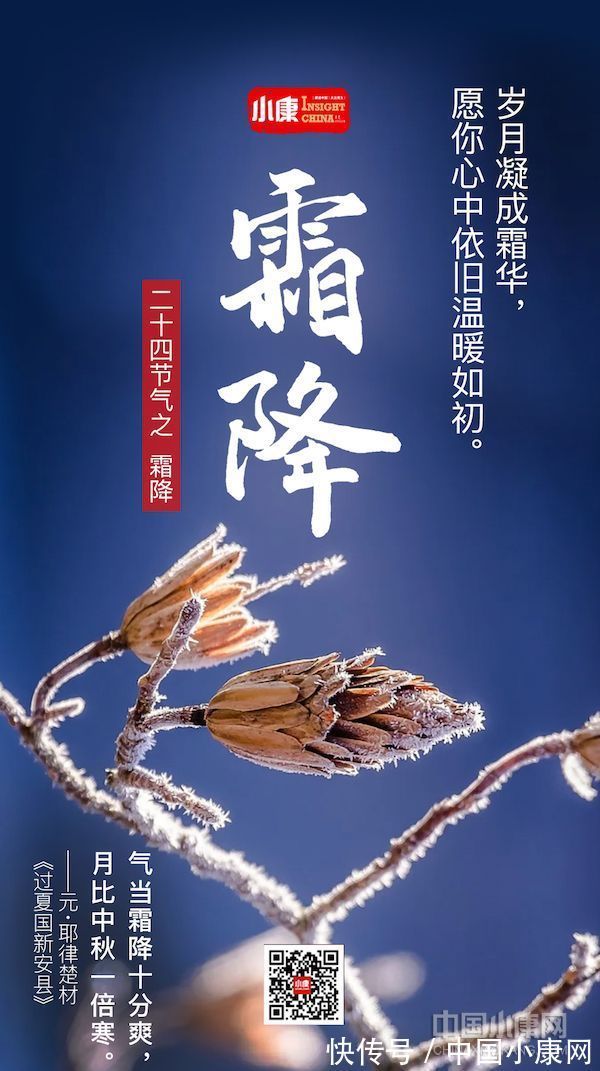 翠竹亭亭！万物有时 岁月成诗：打开二十四节气的另一种方式