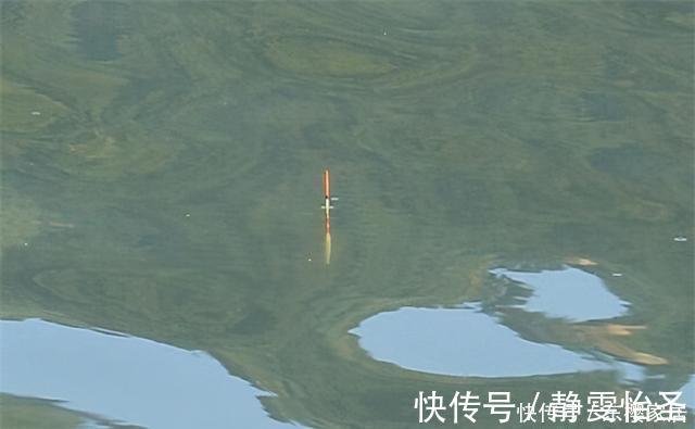 野钓鲫鱼,夏秋季节抓顶漂,冬季多抓顿口,这是为什么呢?