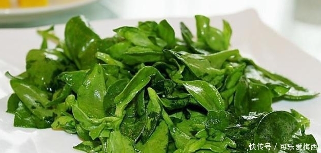 野菜|农村这些治病野菜,凉血止血,健脾明目,治疗牙痛,最适宜夏天吃