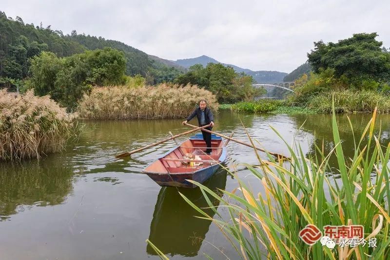 永春|太美了！永春这个绿水青山哺育的美丽乡村，你去过吗？