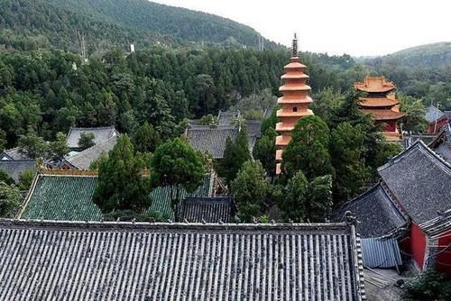 河南有一小众寺庙，坐拥1800年历史，门票免费游人如织