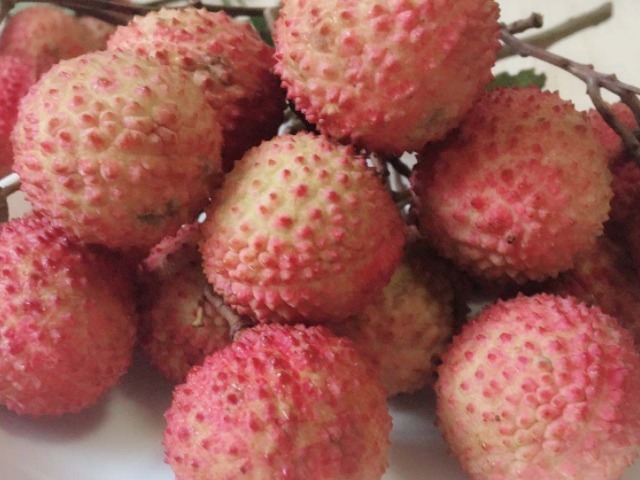 蔓越莓|女人来大姨妈的时候,4种水果使劲吃,不仅刮油还可以清理子宫