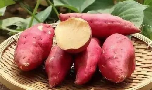 热量|有4种主食，热量低，脂肪低，代替馒头米饭，难怪怎么吃也不胖