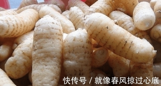 头晕|这个东西堪称「民间仙药」, 降血压、止头晕、通经络, 身体虚弱更应该多吃一点!